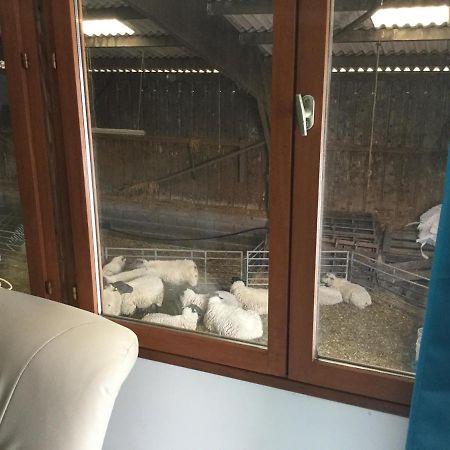 Le Loup Dans La Bergerie Acomodação com café da manhã Montmartin-sur-Mer Exterior foto