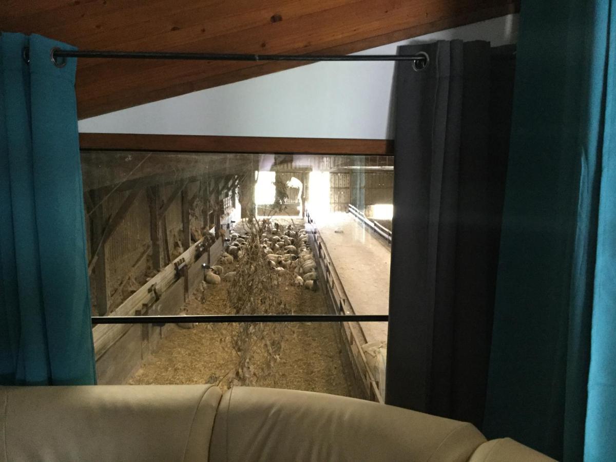 Le Loup Dans La Bergerie Acomodação com café da manhã Montmartin-sur-Mer Exterior foto