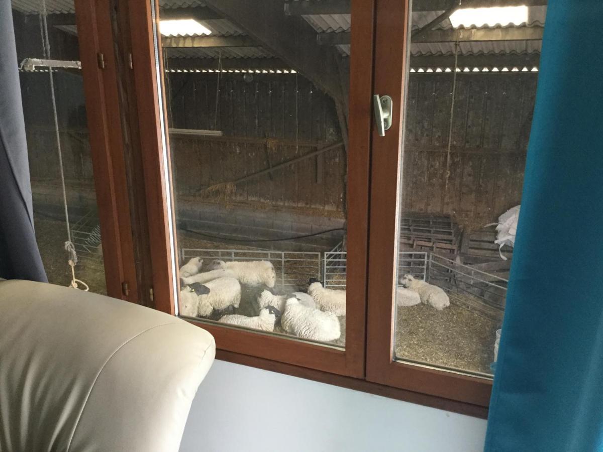 Le Loup Dans La Bergerie Acomodação com café da manhã Montmartin-sur-Mer Exterior foto