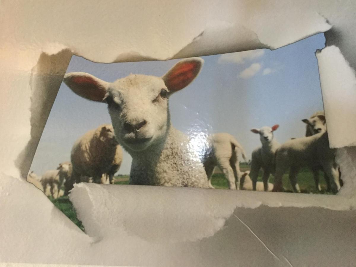 Le Loup Dans La Bergerie Acomodação com café da manhã Montmartin-sur-Mer Exterior foto